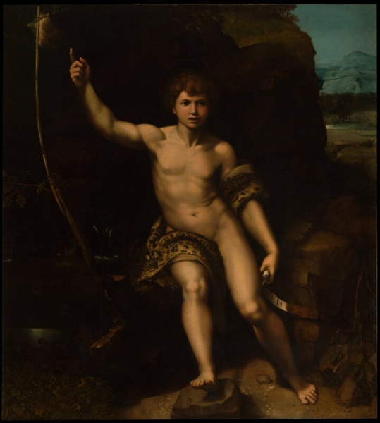 Raphael (Raffaello Sanzio) - Saint John the Baptist