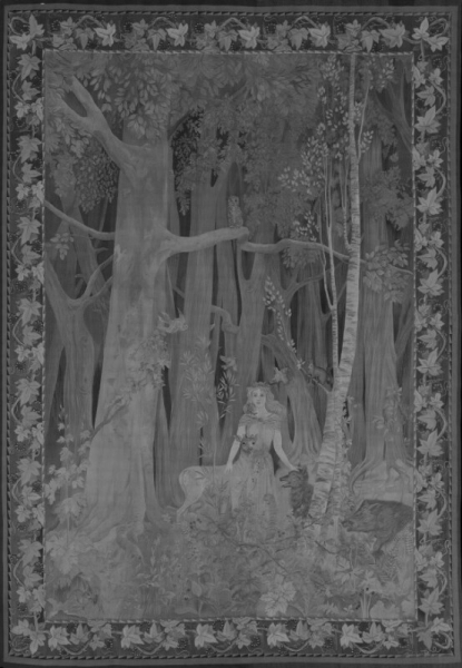 Jorrand Antoine - The Fairy wood